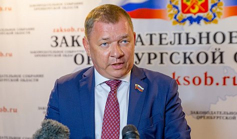 Бездомных собак отдали «на откуп» регионам